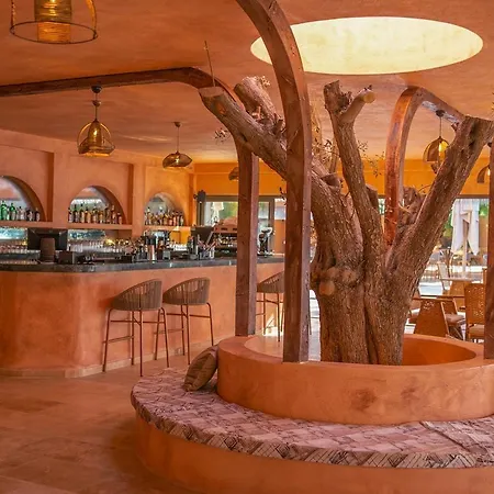 Inone Mucho Selection