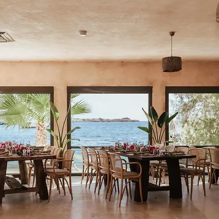 Inone Mucho Selection