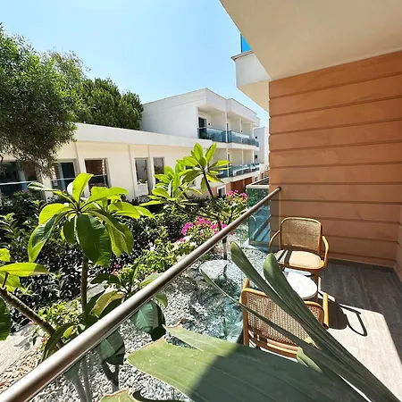 Inone Mucho Selection 4*