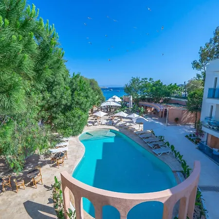 Inone Mucho Selection グムベット