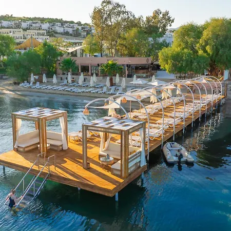 Inone Mucho Selection ホテル